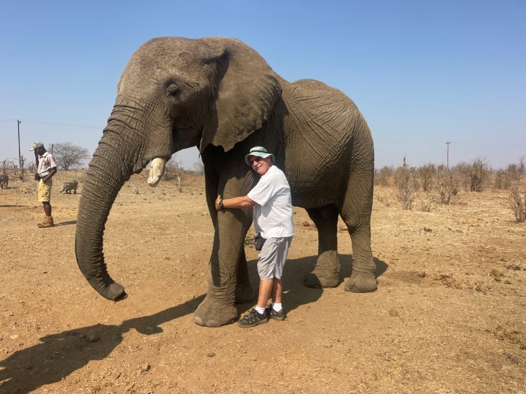 Willy hugs rescue elephant leg Willy hugs rescue elephant leg