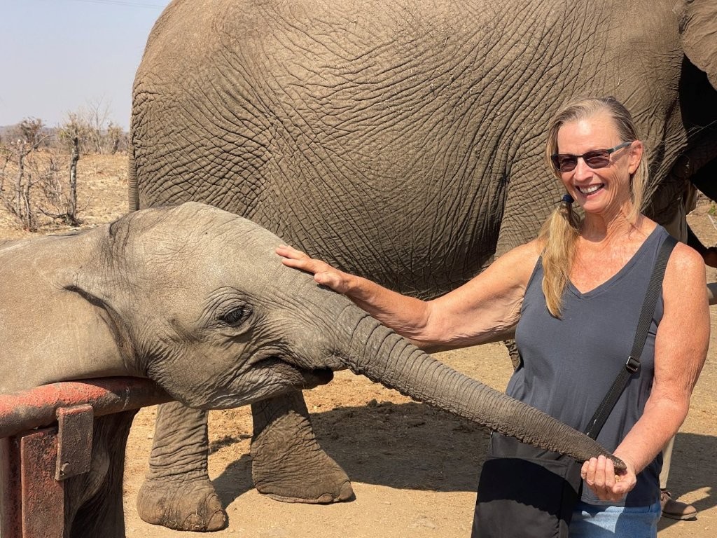Deanna with rescue Elephants Deanna with rescue Elephants
