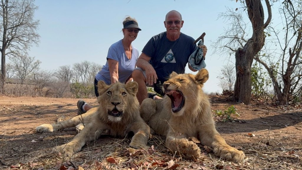 Deanna & Willy with male rescue lions Deanna & Willy with male rescue lions