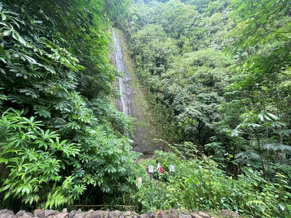 Manoa Falls Manoa Falls