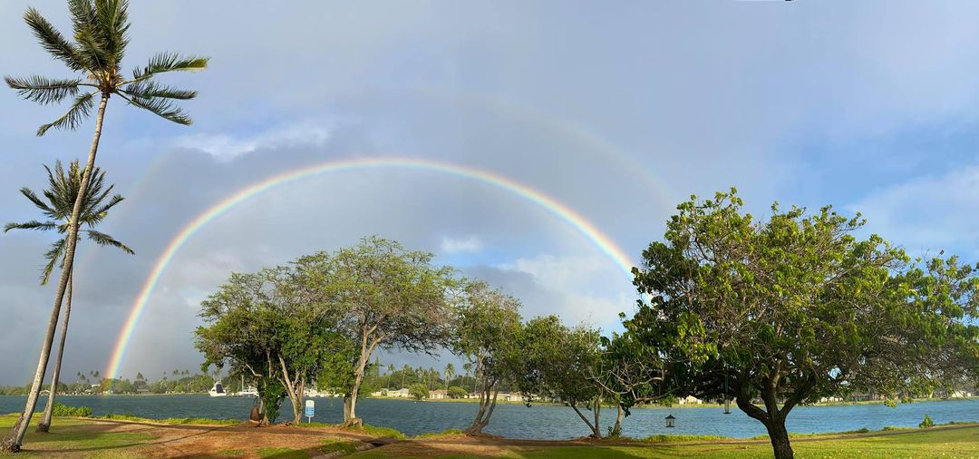Full rainbow from our backyard