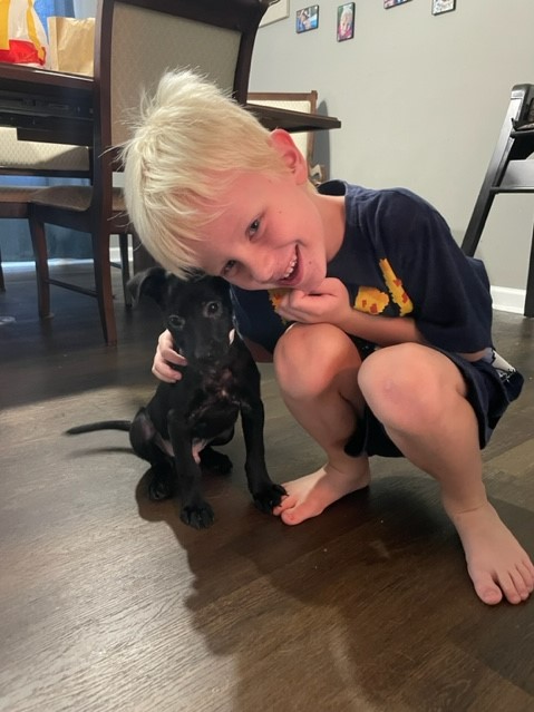 Declan and Dog