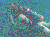 Deanna diving in Hanauma Bay on Oahu