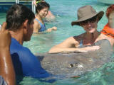 Deanna pets a stingray in the Caymans