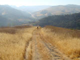Dave Gleason in the distance on the Gaviota Peak trail
