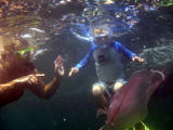 Anne Marie pointing out a jellyfish to Clark