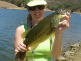 Deanna's 19 inch Bass