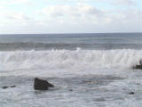 Shark's Cove on a Big Day