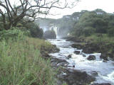 Falls near Hilo